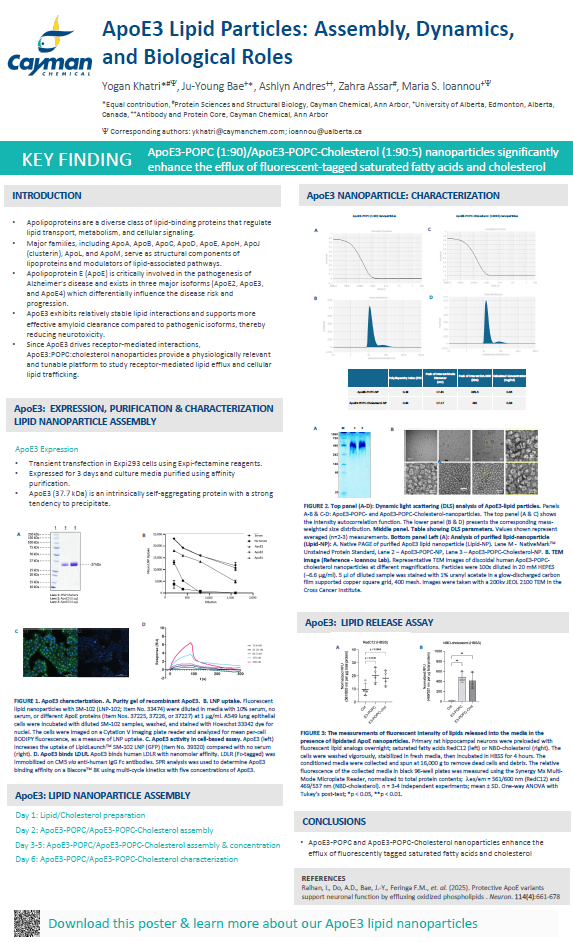 <p>​ApoE3 Lipid Particles Assembly, Dynamics, and Biological Roles<br></p>